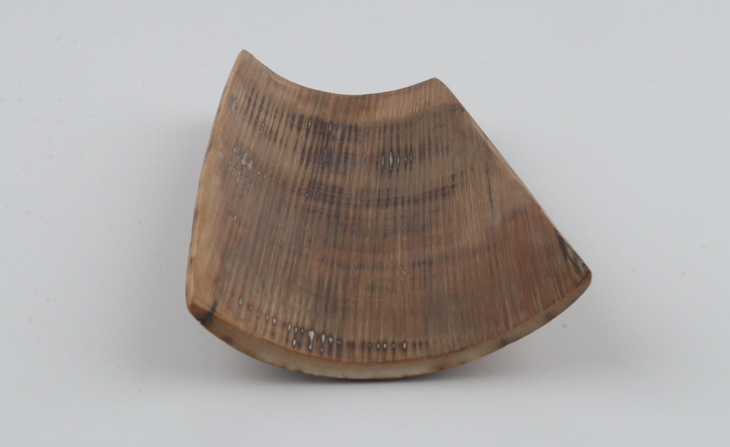 Beige-mustard mammoth bark