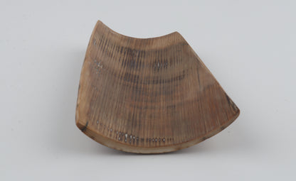 Beige-mustard mammoth bark