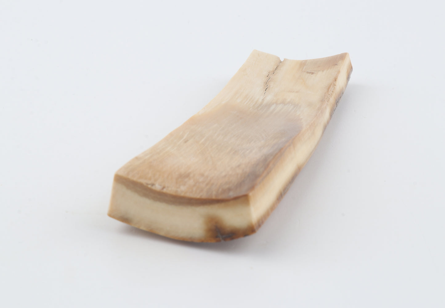 Mustard mammoth bark