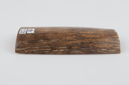 Beige-mustard mammoth bark