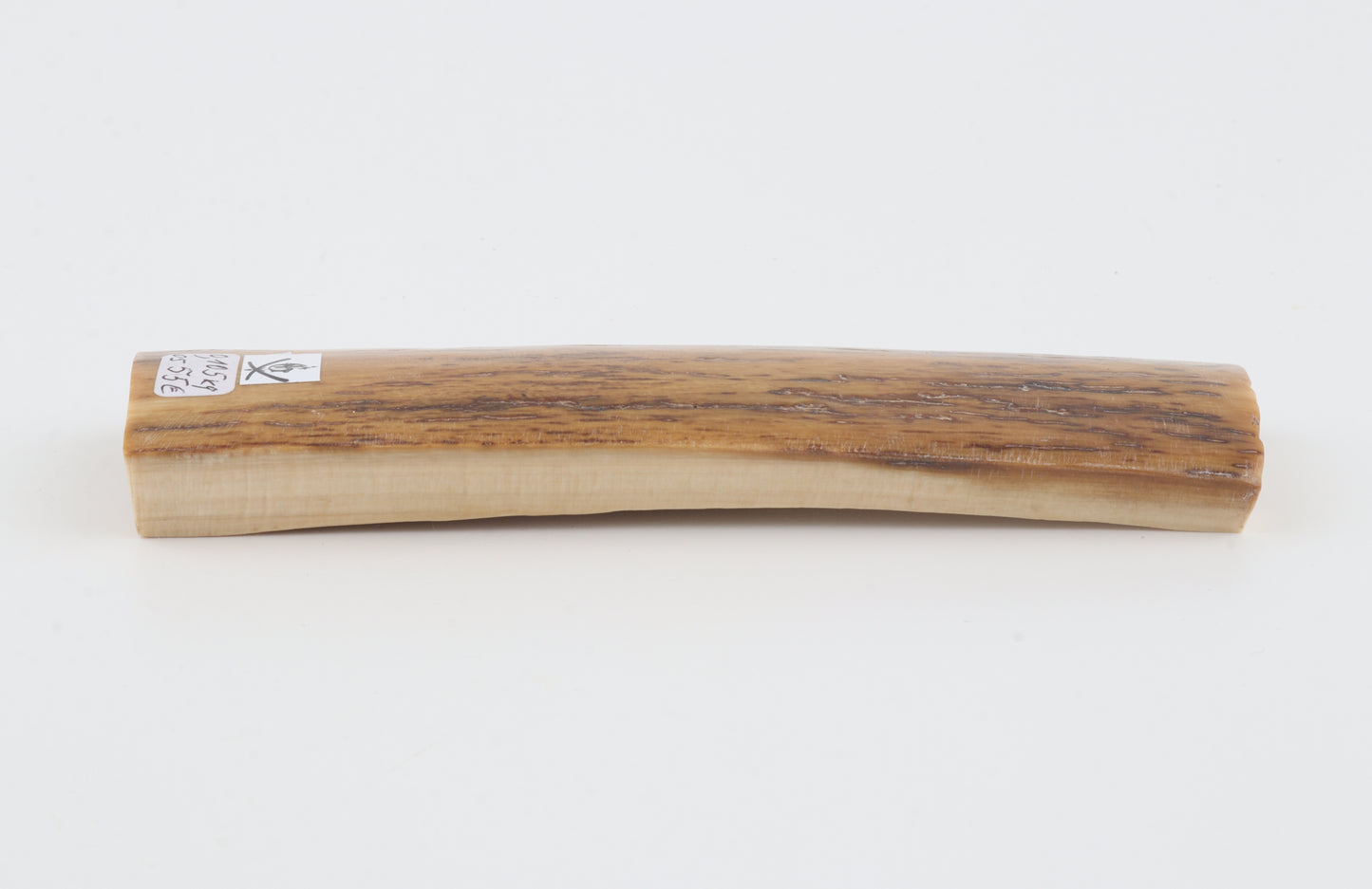 Mustard mammoth bark