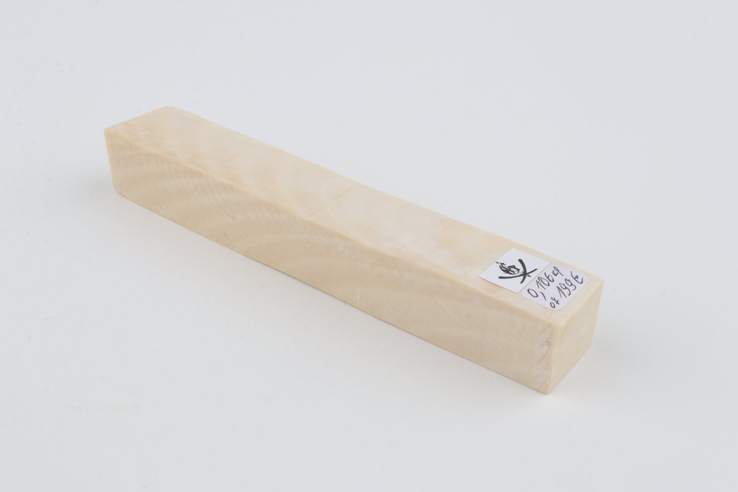 White mammoth ivory segment
