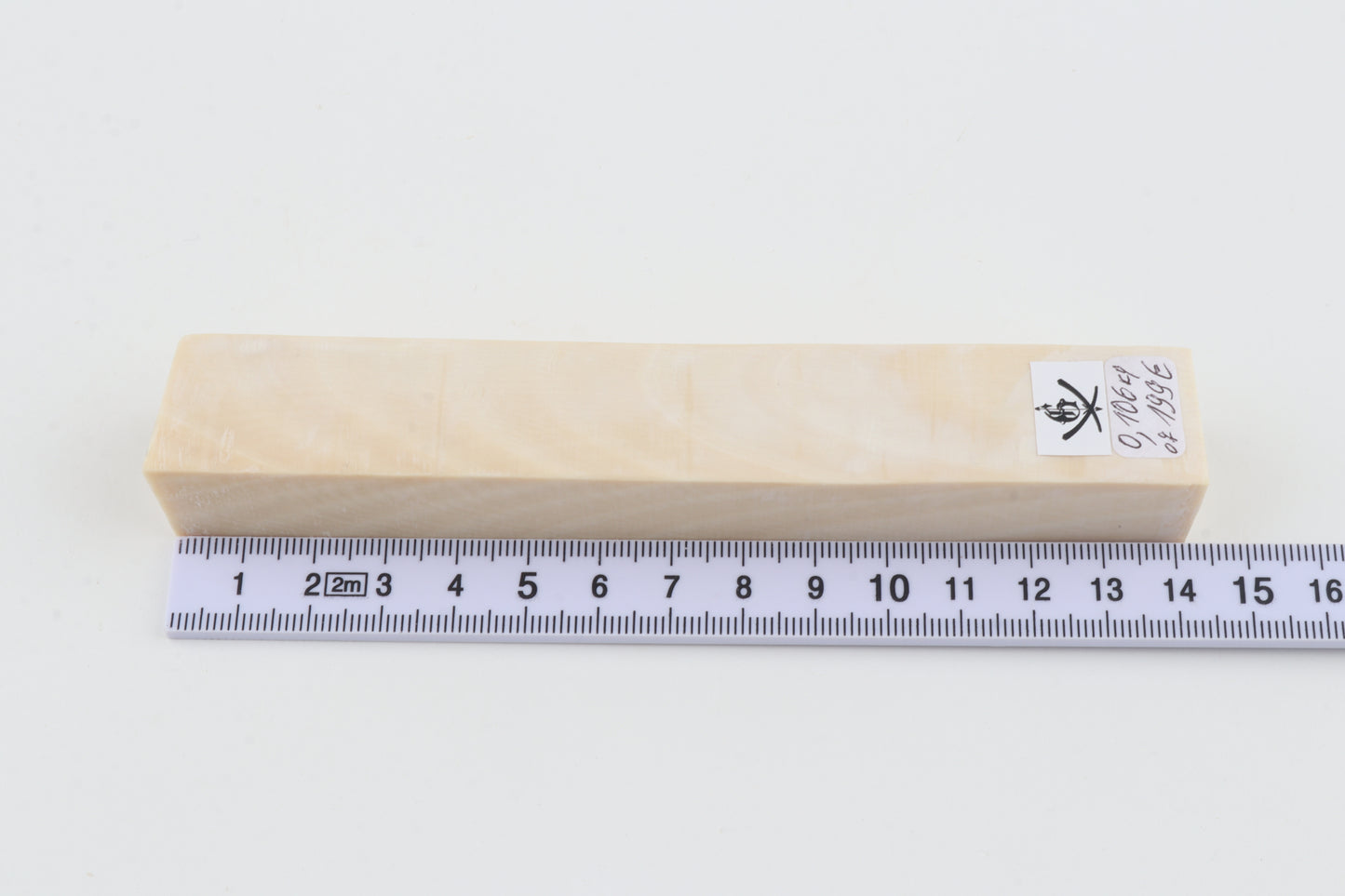 White mammoth ivory segment