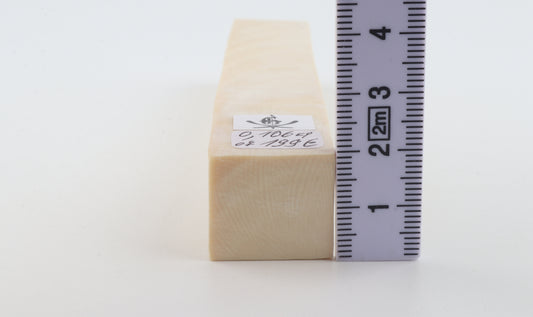 White mammoth ivory segment