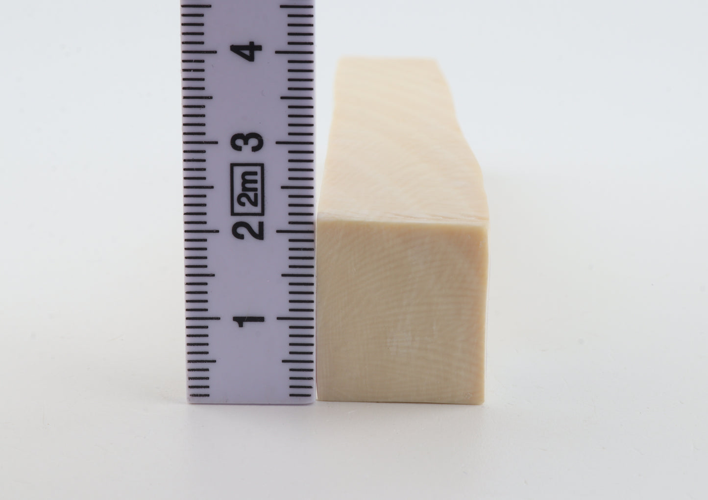 White mammoth ivory segment