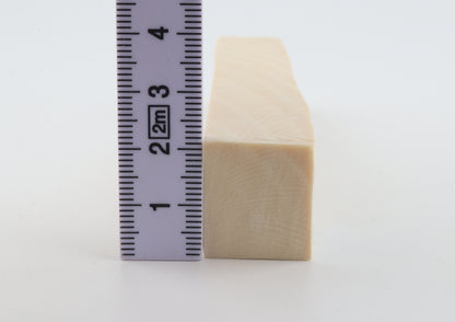 White mammoth ivory segment