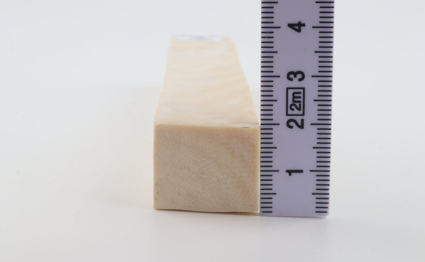 White mammoth ivory segment