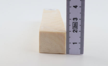 White mammoth ivory segment