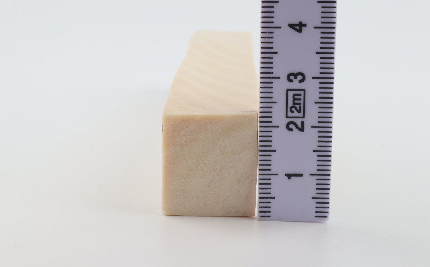 White mammoth ivory segment