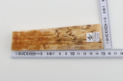 Creme-orange mammoth bark