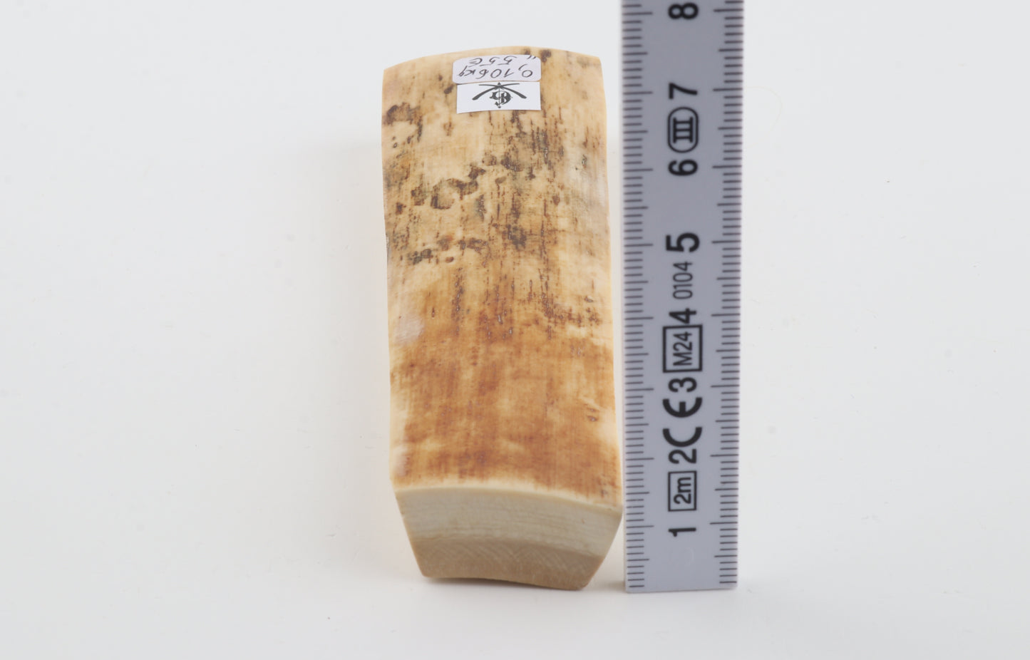 Creme-orange mammoth bark