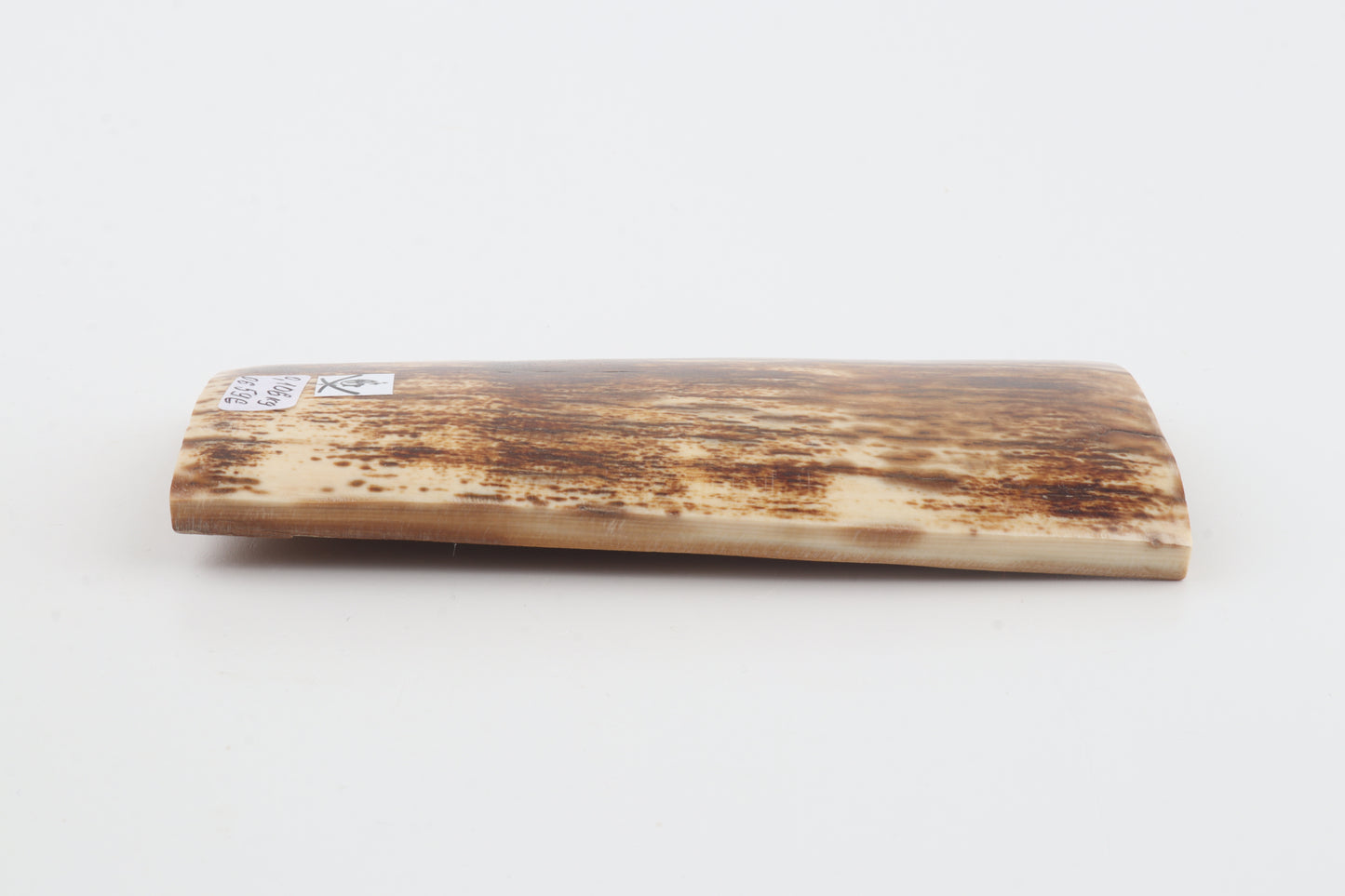 Brown-orange mammoth bark
