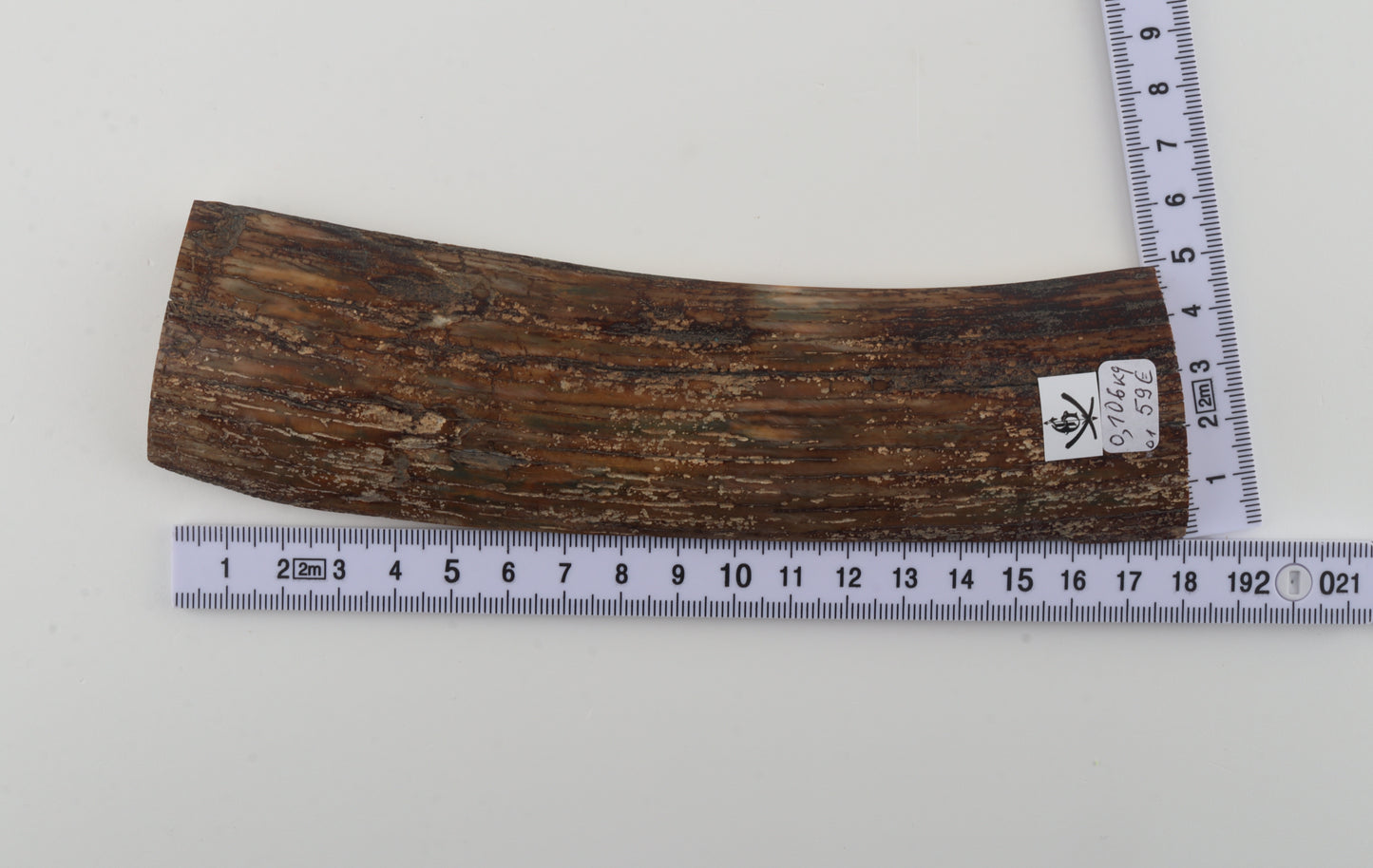 Brown mammoth bark