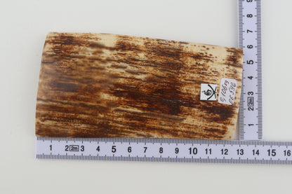 Brown-orange mammoth bark