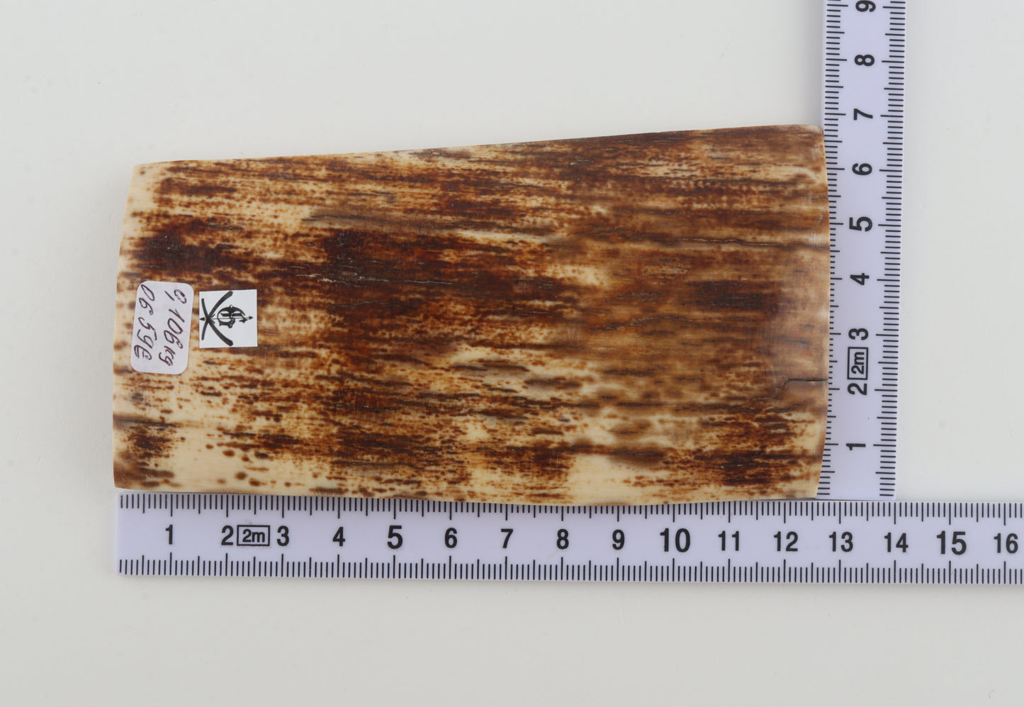 Brown-orange mammoth bark
