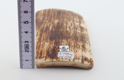 Brown-orange mammoth bark
