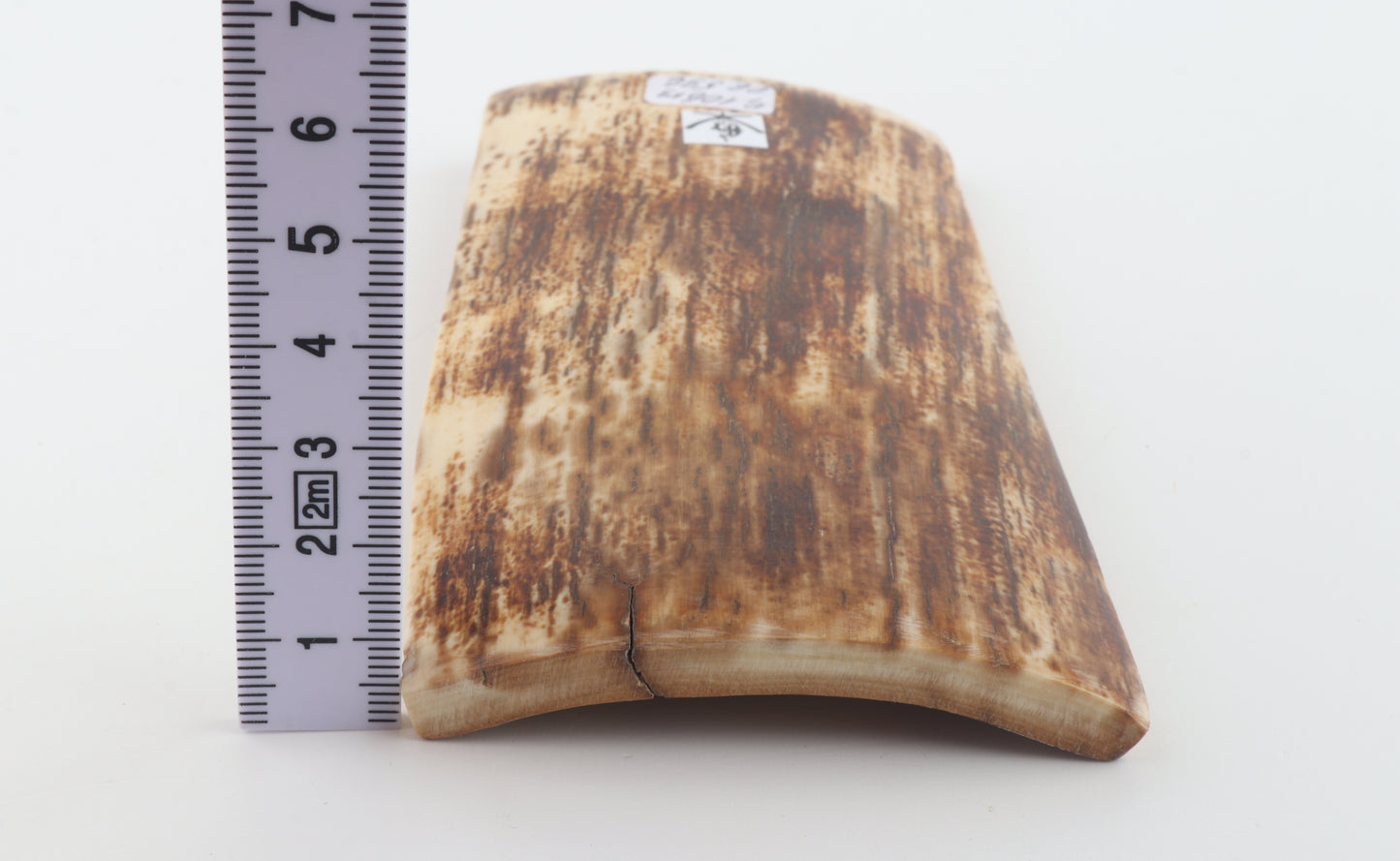Brown-orange mammoth bark