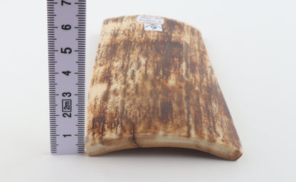 Brown-orange mammoth bark