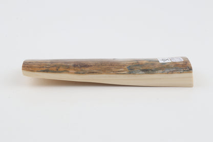 Brown mammoth bark