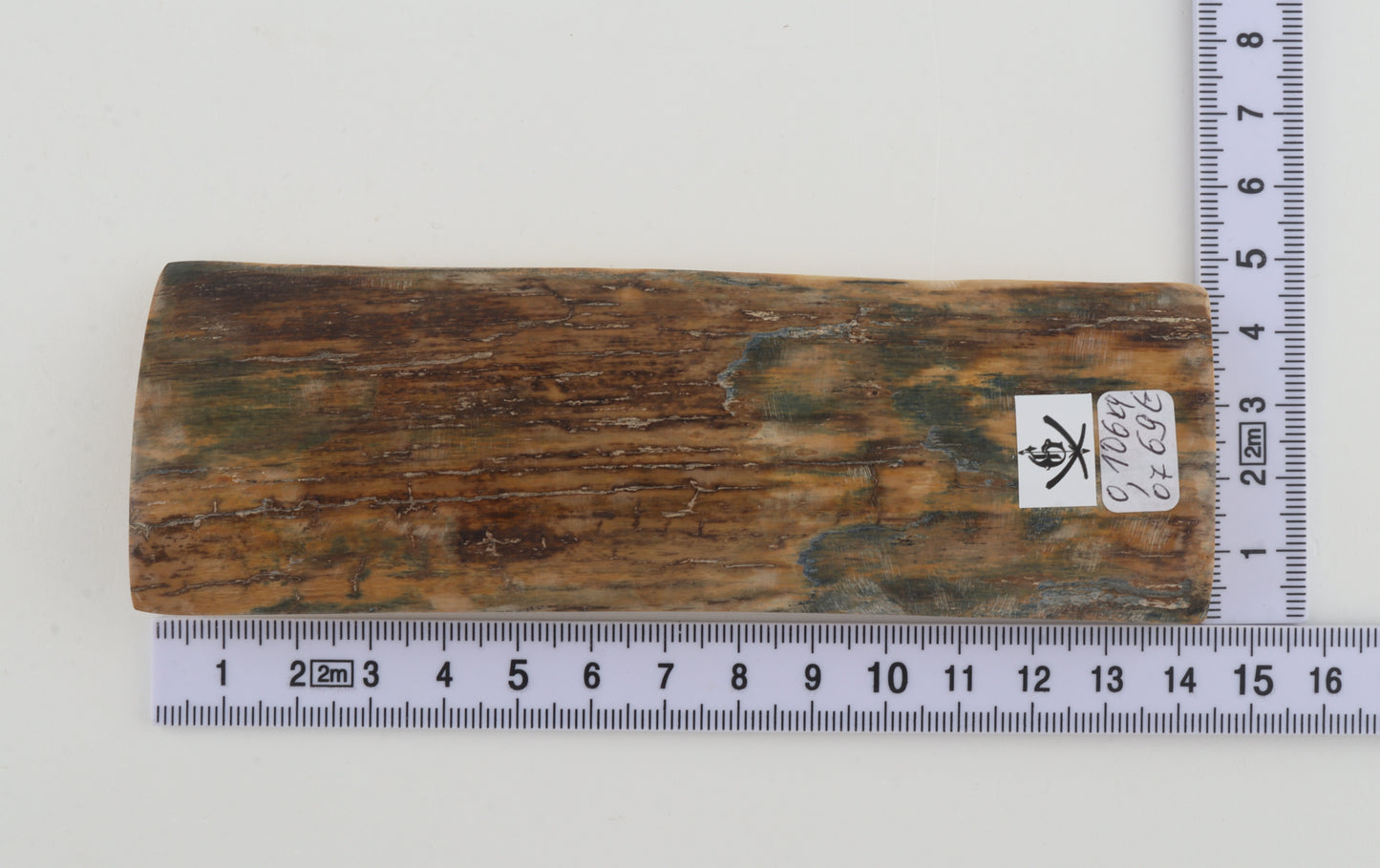 Brown mammoth bark