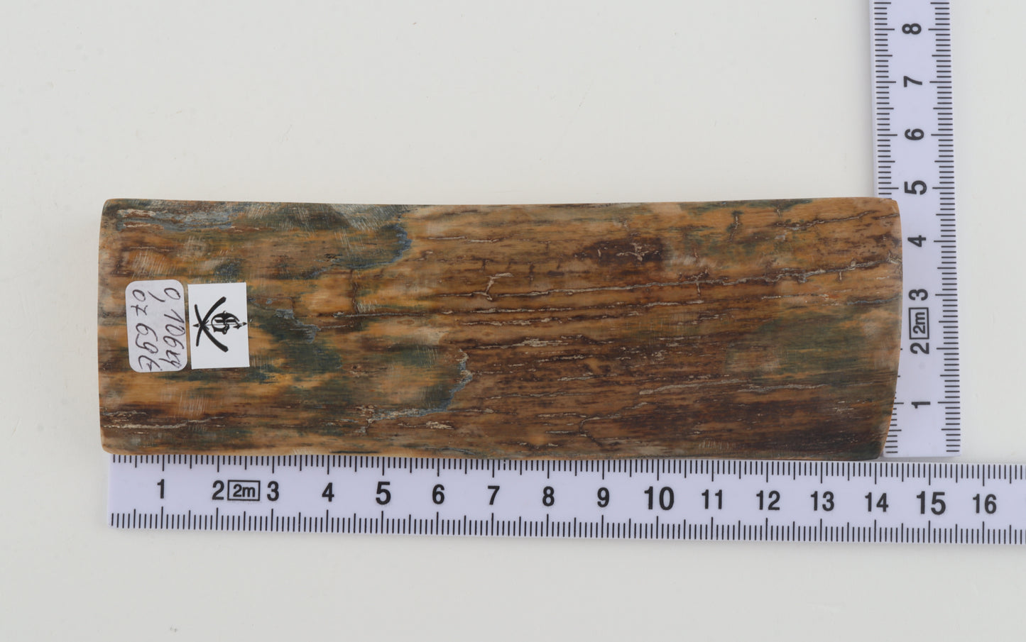Brown mammoth bark