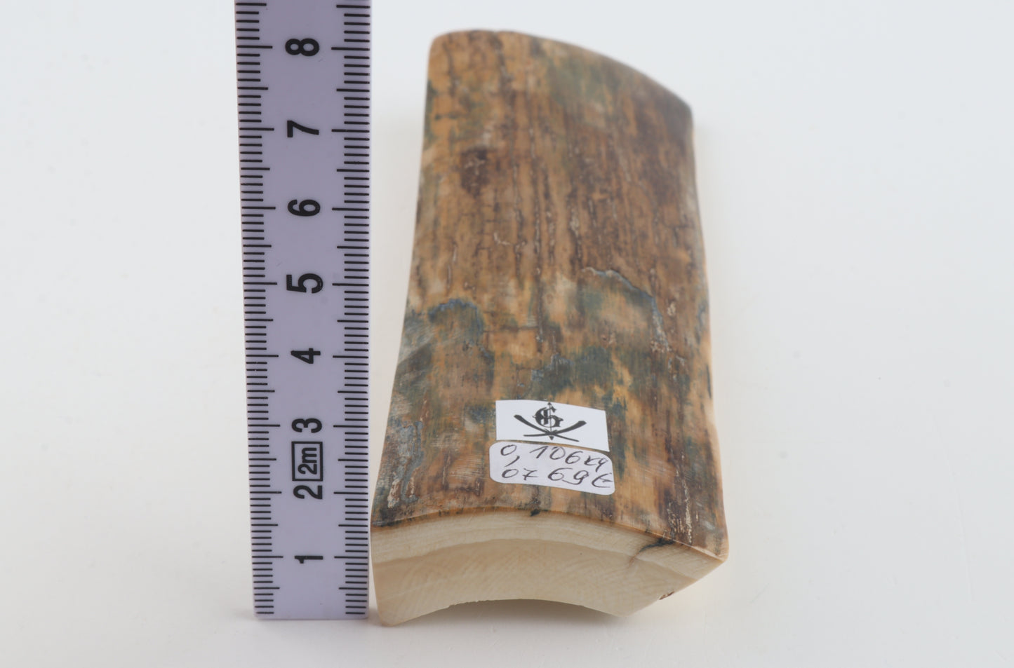 Brown mammoth bark