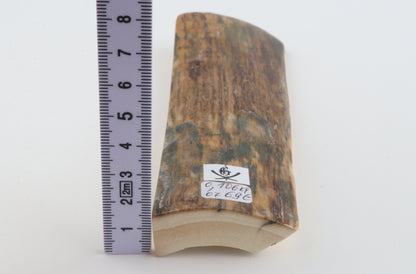 Brown mammoth bark