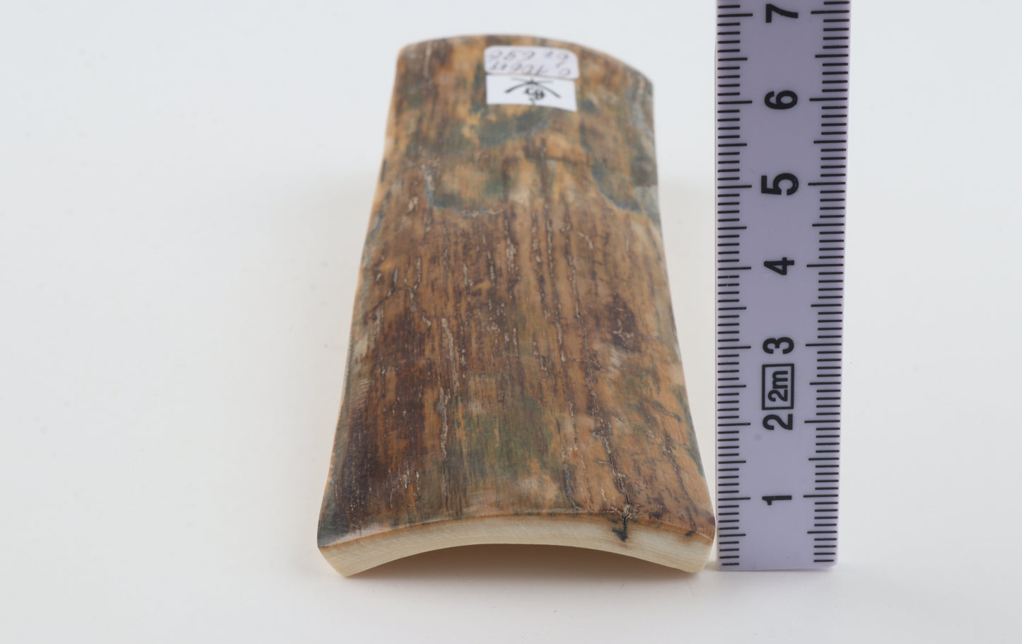 Brown mammoth bark