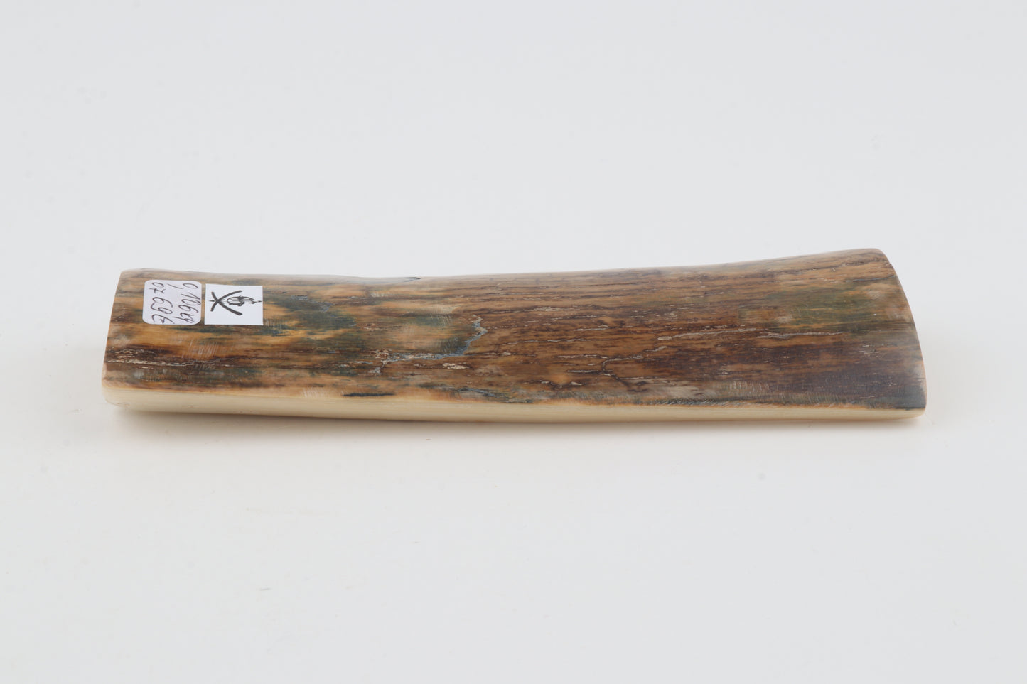 Brown mammoth bark