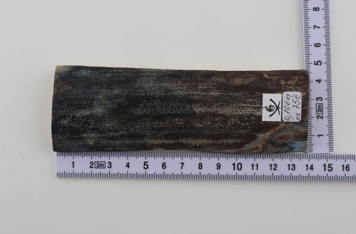 Blue-brown mammoth bark