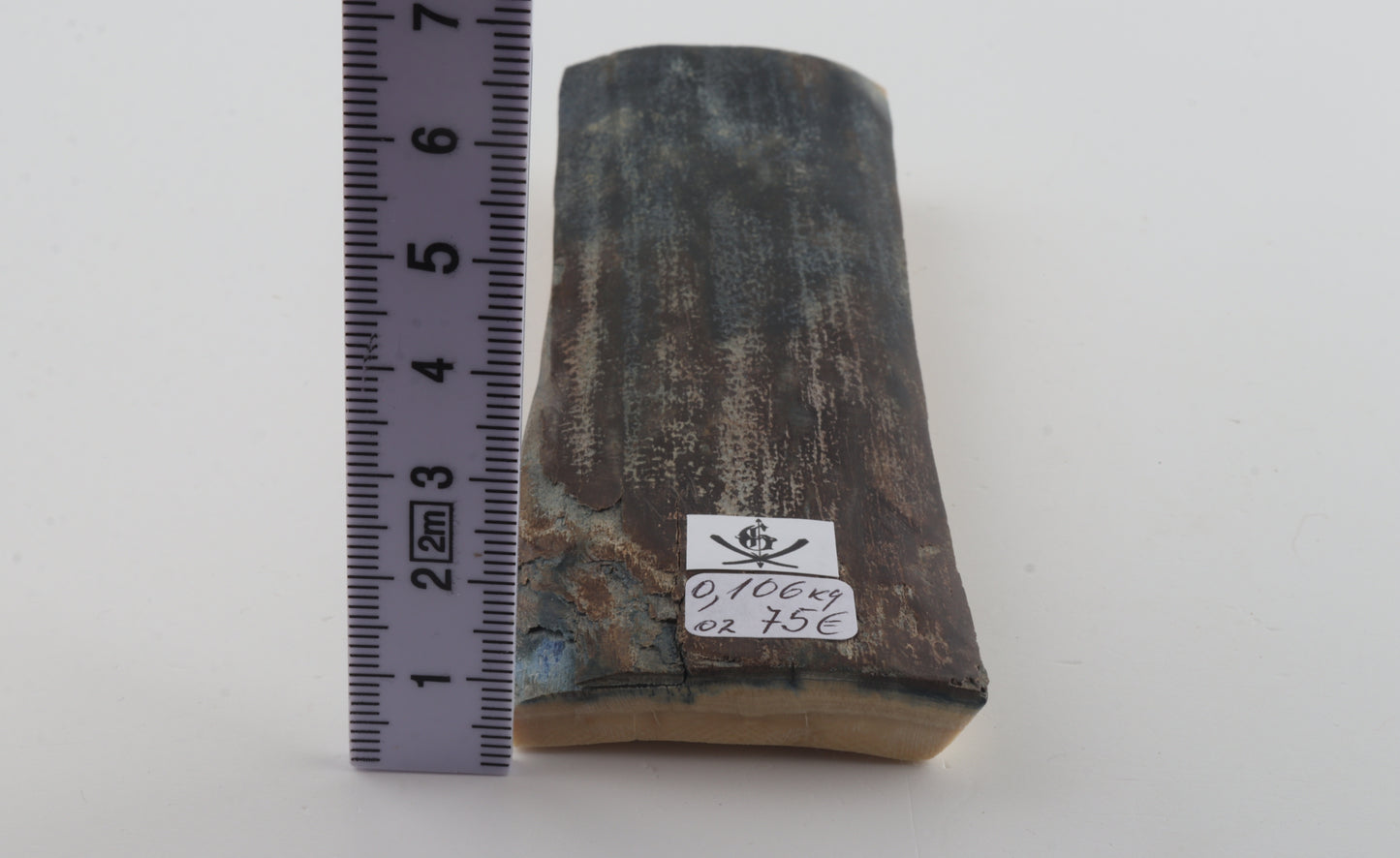 Blue-brown mammoth bark