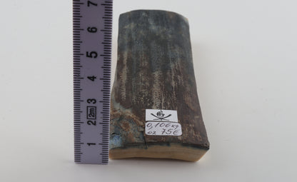 Blue-brown mammoth bark