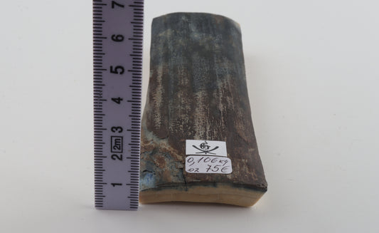 Blue-brown mammoth bark