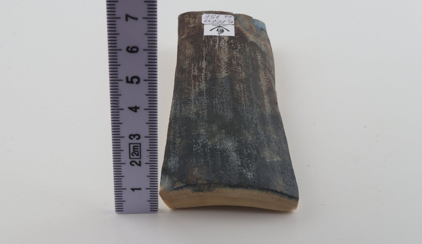 Blue-brown mammoth bark