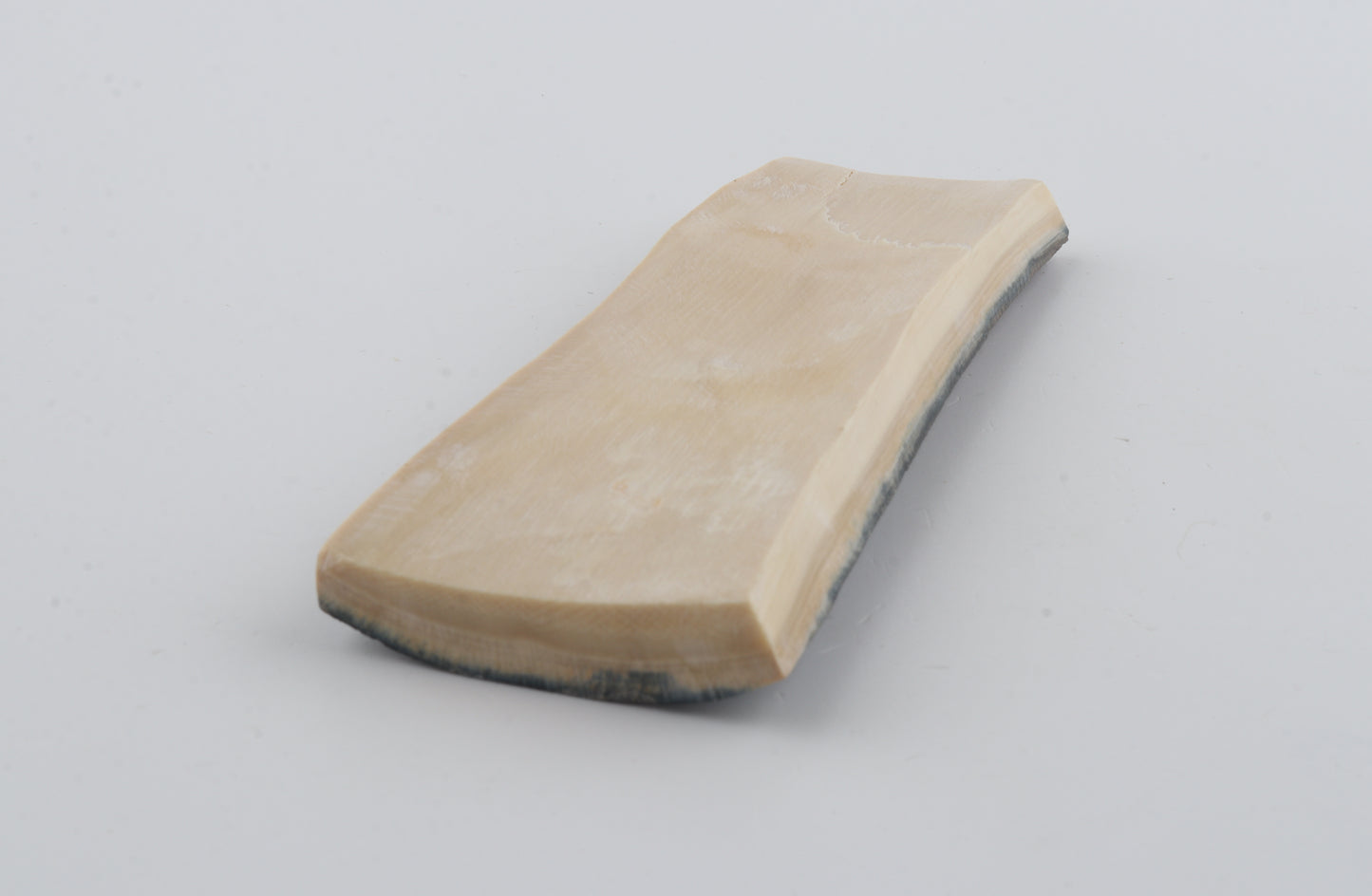 Blue-brown mammoth bark