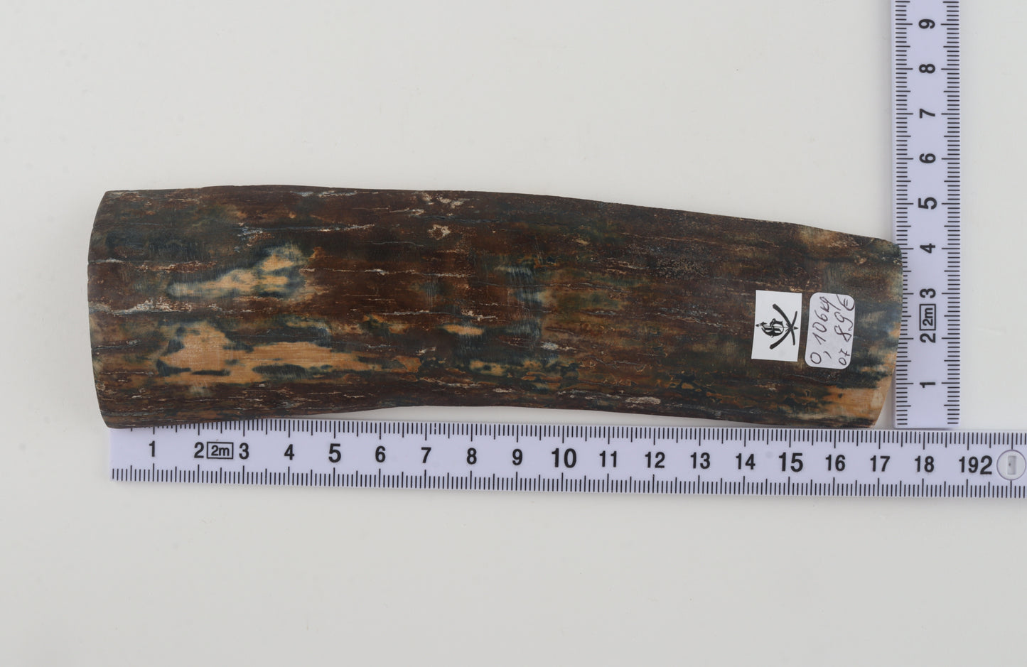 Brown-blue mammoth bark