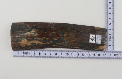 Brown-blue mammoth bark