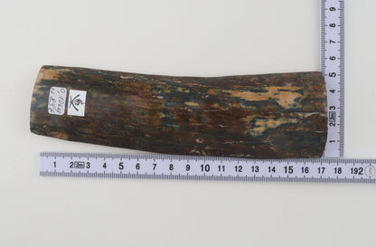Brown-blue mammoth bark