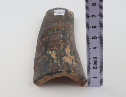 Brown-blue mammoth bark