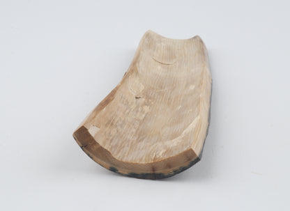 Brown-blue mammoth bark