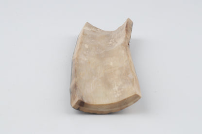Brown-blue mammoth bark