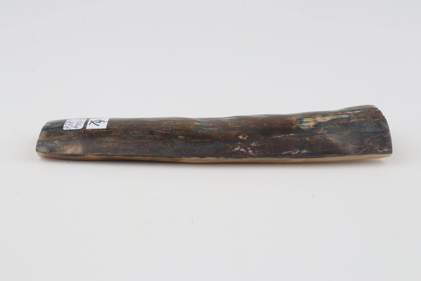 Brown-blue mammoth bark