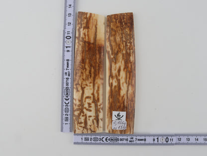 Natural mammoth bark scales