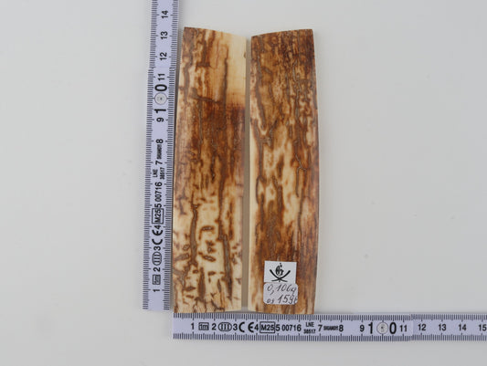 Natural mammoth bark scales