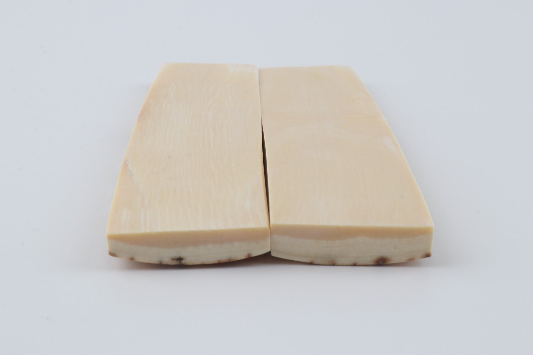 Natural mammoth bark scales