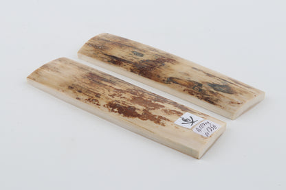 Natural mammoth bark scales