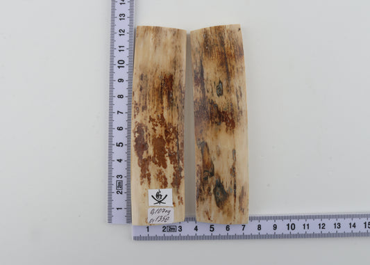 Natural mammoth bark scales