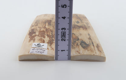 Natural mammoth bark scales