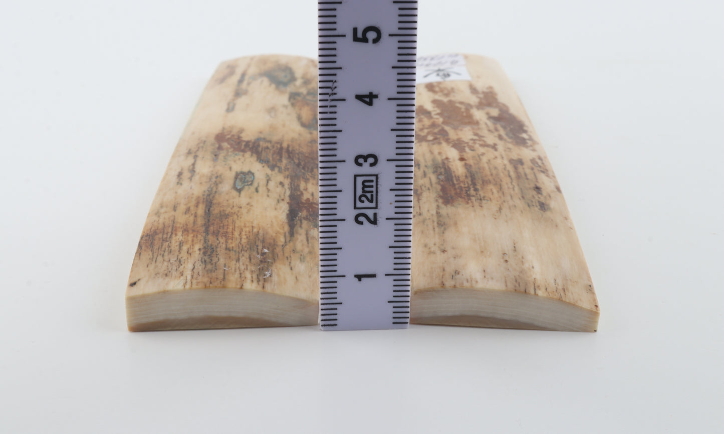 Natural mammoth bark scales