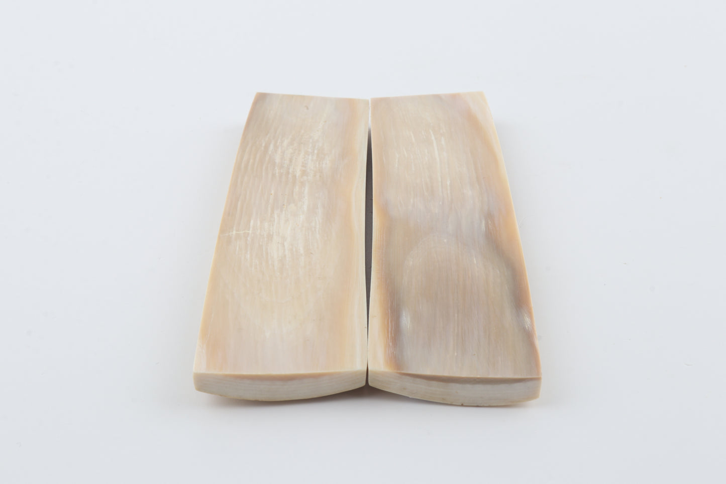 Natural mammoth bark scales